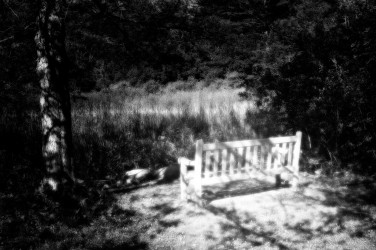 Linda DeStefano Brown