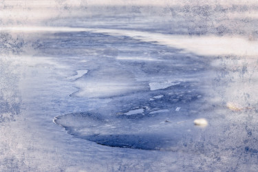 Linda DeStefano Brown