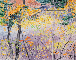 Joyce McJilton Dwyer