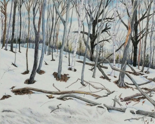 Joyce McJilton Dwyer