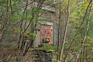 Bunk 302 - AWR Bunk 302 - AWR