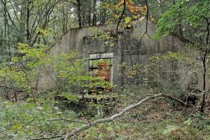 Bunk 341 - AWR Bunk 341 - AWR