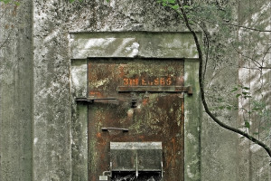 Bunk 865 - AWR Bunk 865 - AWR