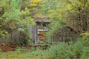 Bunker AA - AWR Bunker AA - AWR