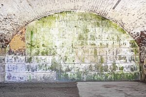 Color Arches - Ft. Warren Color Arches - Ft. Warren