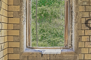 Window - Ft. Revere Window - Ft. Revere