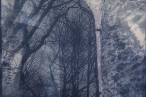 Gail Erwin - The Light Gets In