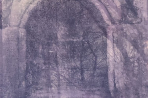 Gail Erwin - Sylvan Elegy