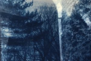 Gail Erwin - In the Deep