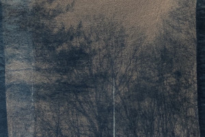 Gail Erwin - Pine Shadow