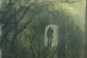 Gail Erwin - Shadow Passage