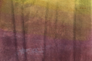 Gail Erwin - Morning Song