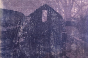 Gail Erwin - A Wind Rising