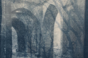 Gail Erwin - A Whisper of Souls