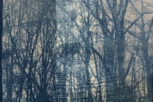 Gail Erwin - Measured Path