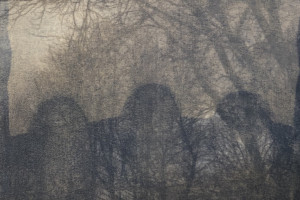 Gail Erwin - Dark Journey