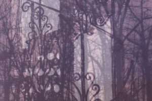 Gail Erwin - Spiral Tracery