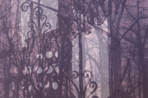 Gail Erwin - Spiral Tracery