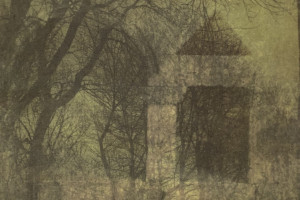 Gail Erwin - Arboreal Relic