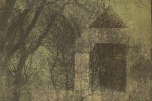 Gail Erwin - Arboreal Relic