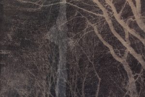 Gail Erwin - A Frozen Bough