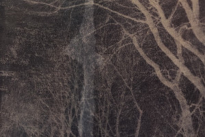 Gail Erwin - A Frozen Bough