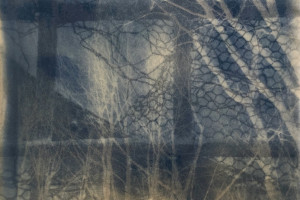 Gail Erwin - Spoleto Chorus