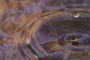 Pink and Purple Splash