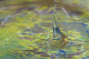 Yellow and Blue Splash