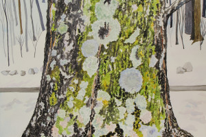 Joyce McJilton Dwyer