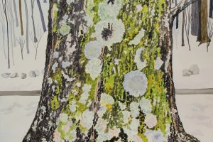 Joyce McJilton Dwyer