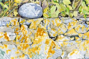 Joyce McJilton Dwyer