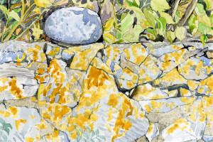 Joyce McJilton Dwyer