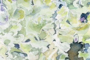 Joyce McJilton Dwyer