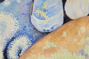 Joyce McJilton Dwyer