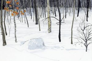 Joyce McJilton Dwyer