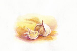 Priscilla Alpaugh Cotter