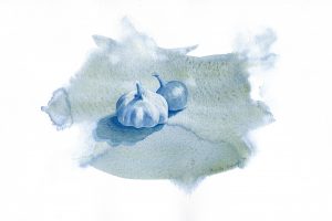 Priscilla Alpaugh Cotter