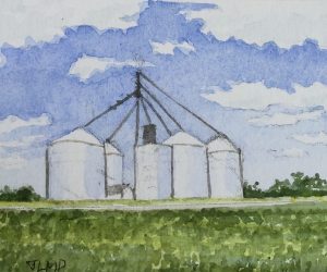 Joyce McJilton Dwyer