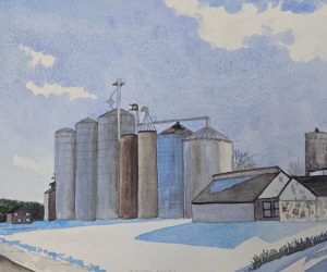 Joyce McJilton Dwyer