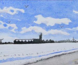 Joyce McJilton Dwyer