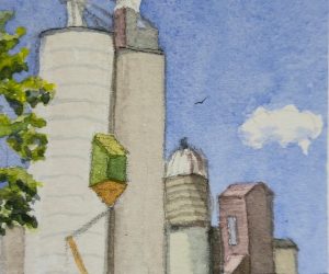 Joyce McJilton Dwyer